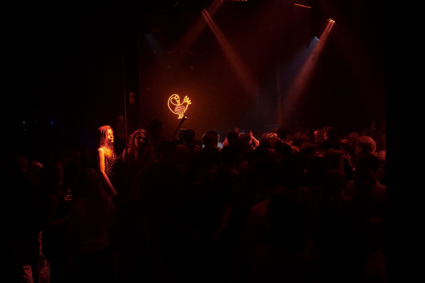 Sankofa Nights